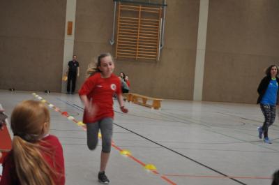 Foto des Albums: Regionale Meisterschaften Torgelow