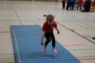 Foto des Albums: Regionale Meisterschaften Torgelow