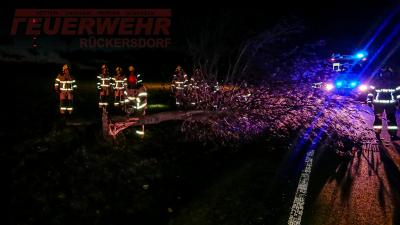Foto des Albums: Einsatz 03/2019