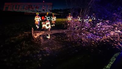 Foto des Albums: Einsatz 03/2019