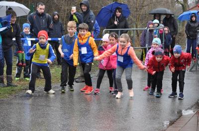 Foto des Albums: UDG -Cup Prenzlau, 09.03.2019 (13.​03.​2019)