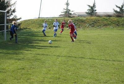 Foto des Albums: Testspiele D-Jugend