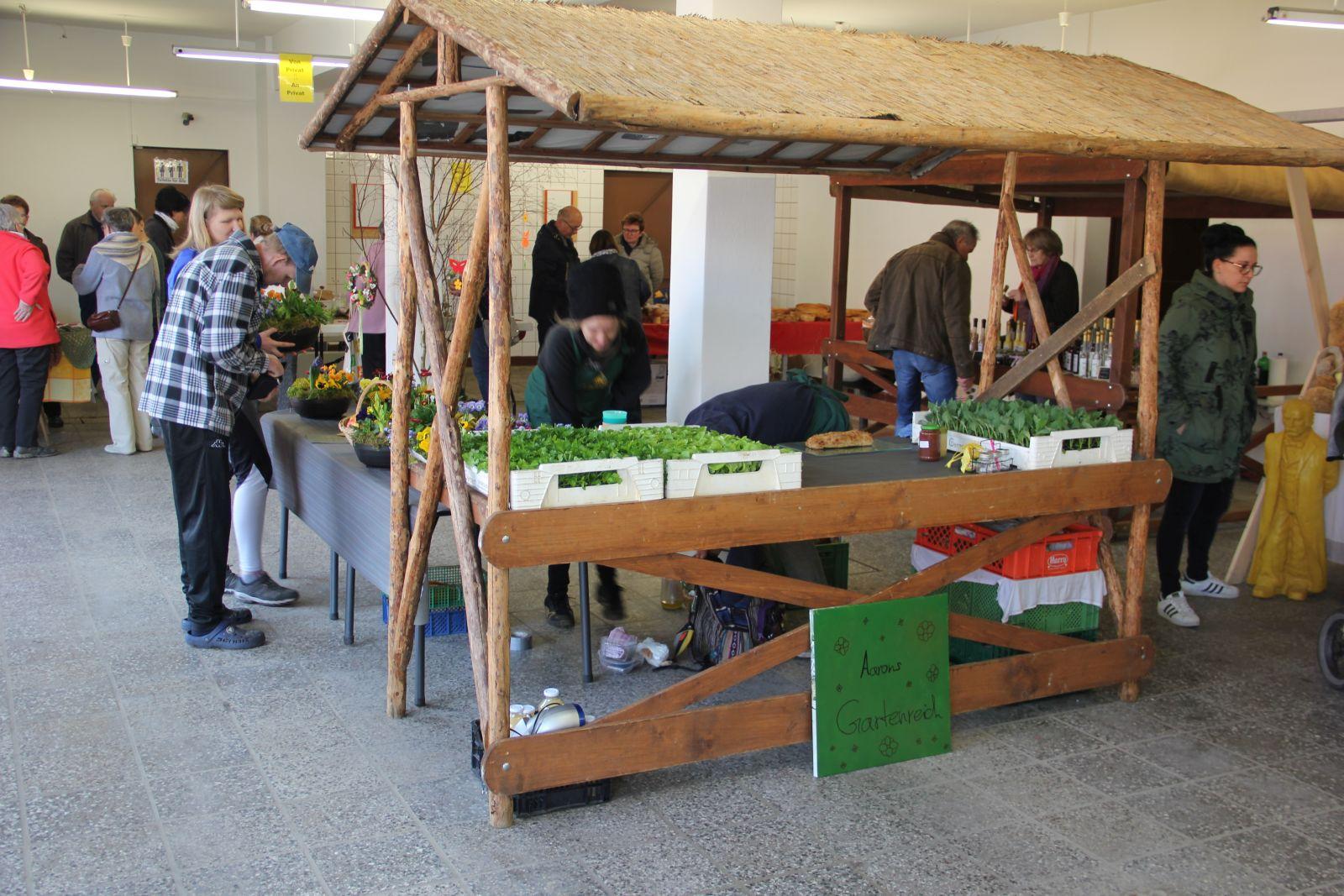 Bild der Galerie