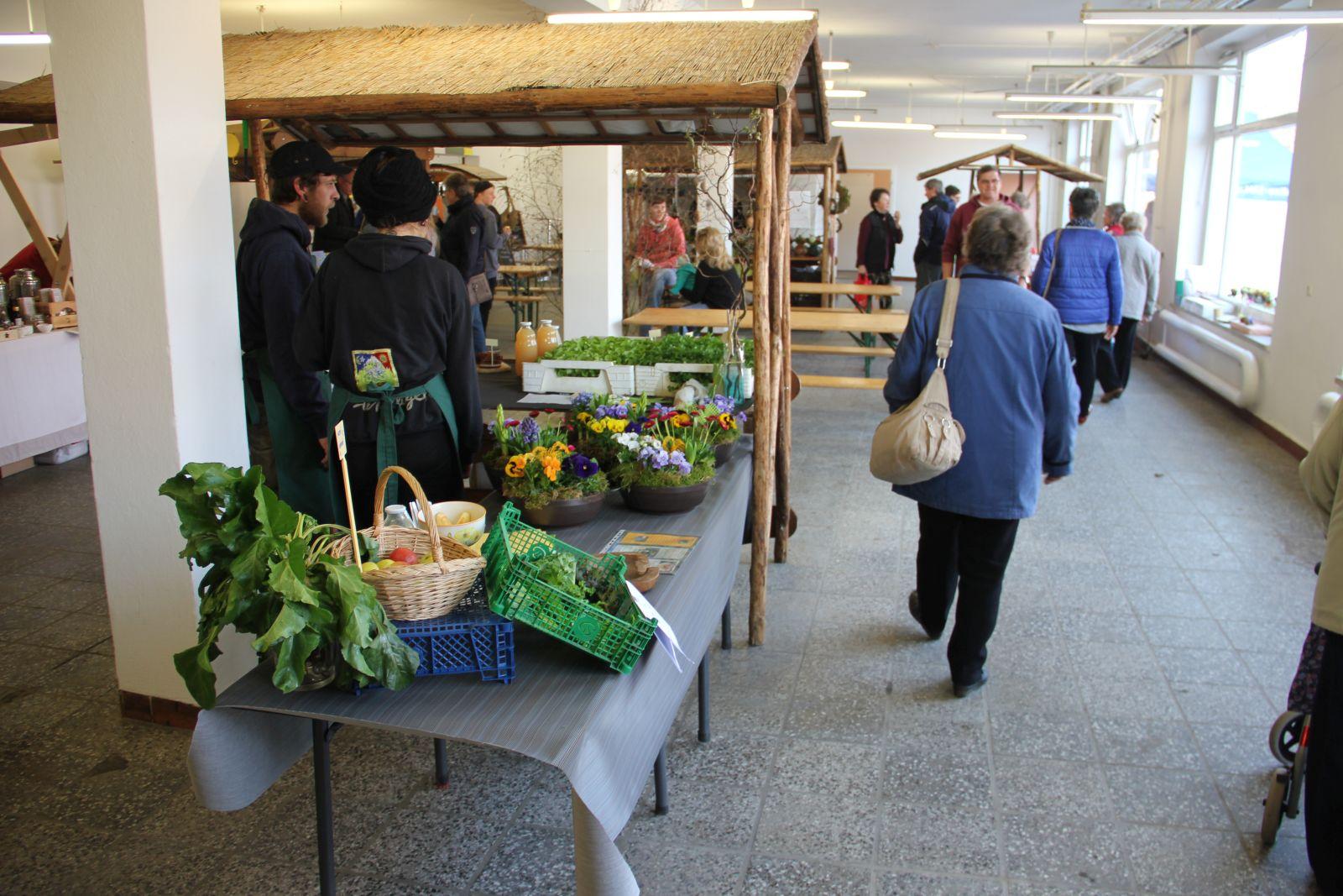 Bild der Galerie