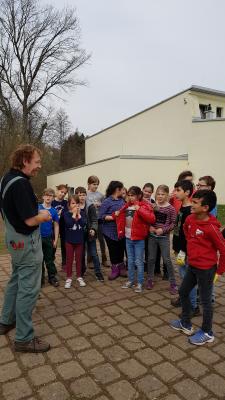 Foto des Albums: Arbeit an der Benjeshecke