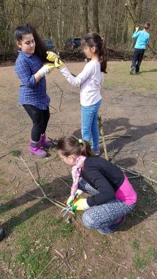 Foto des Albums: Arbeit an der Benjeshecke