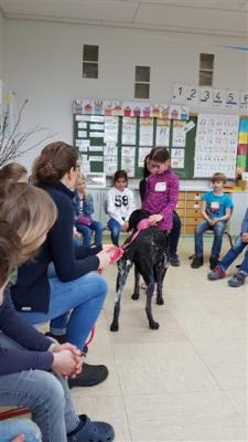 Foto des Albums: Was macht der Hund im Unterricht? (03.04.2019)