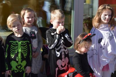 Foto des Albums: Karneval 2019 Spukschloss Bibberhengst