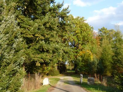 Foto des Albums: Döbra 2016 Herbstimpressionen