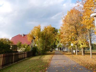 Foto des Albums: Döbra 2016 Herbstimpressionen