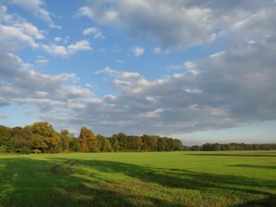 Foto des Albums: Döbra 2016 Herbstimpressionen