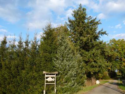 Foto des Albums: Döbra 2016 Herbstimpressionen