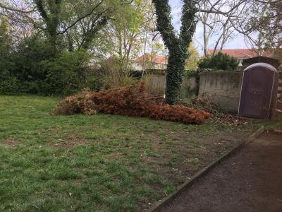 Foto des Albums: 1. Schulgarteneinsatz 13.04.19