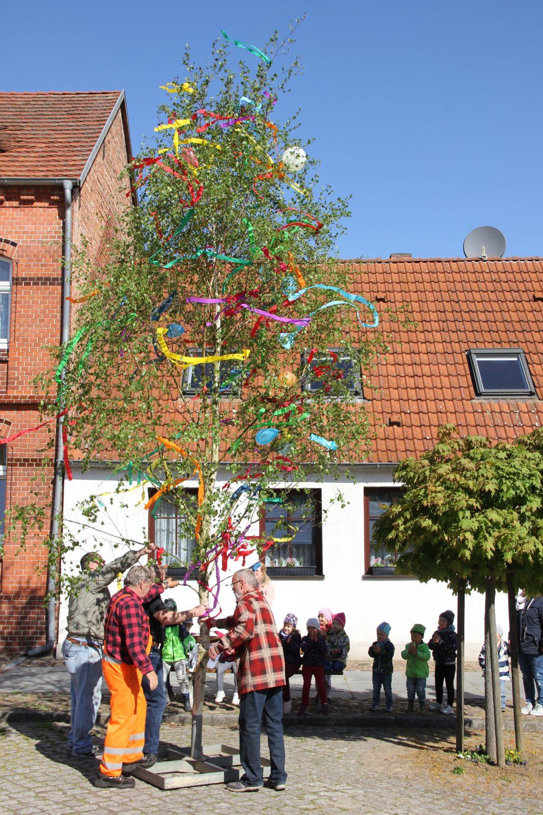 Bild der Galerie