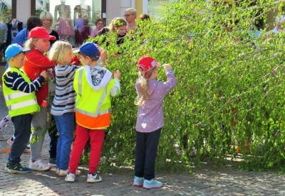 Foto des Albums: Maibaumaufstellung auf dem Großen Markt in Perleberg (26. 04. 2019)