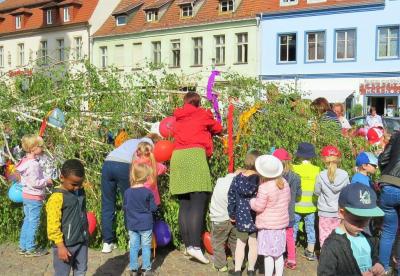 Foto des Albums: Maibaumaufstellung auf dem Großen Markt in Perleberg (26. 04. 2019)