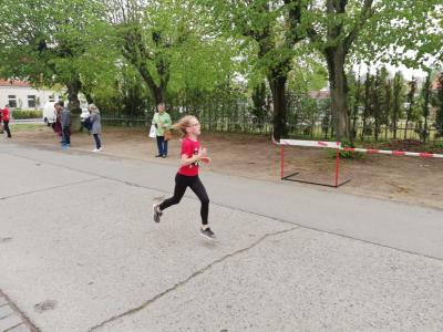 Foto des Albums: Lychener Seenlauf