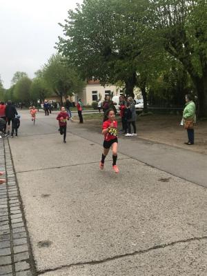 Foto des Albums: Lychener Seenlauf