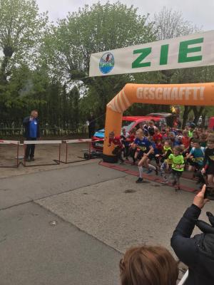 Foto des Albums: Lychener Seenlauf