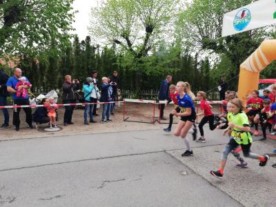 Foto des Albums: Lychener Seenlauf
