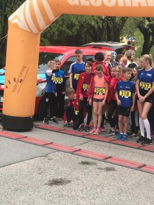Foto des Albums: Lychener Seenlauf