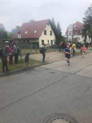 Foto des Albums: Lychener Seenlauf