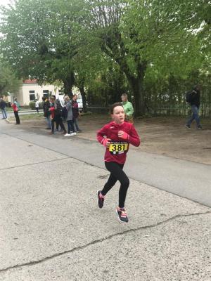 Foto des Albums: Lychener Seenlauf
