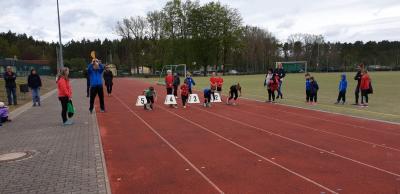 Foto des Albums: Torgelower Mehrkampf