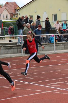 Foto des Albums: KM Eberswalde