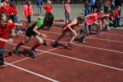 Foto des Albums: Kreissportspiele Eggesin