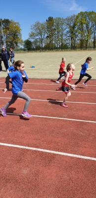 Foto des Albums: Kreissportspiele Eggesin