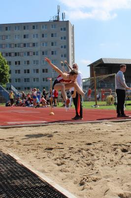 Foto des Albums: LM U14-Aktive Brandenburg/Havel