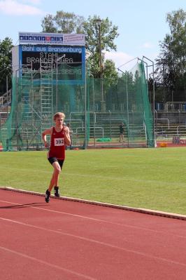 Foto des Albums: LM U14-Aktive Brandenburg/Havel