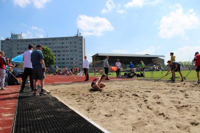 Foto des Albums: LM U14-Aktive Brandenburg/Havel