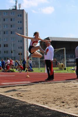 Foto des Albums: LM U14-Aktive Brandenburg/Havel