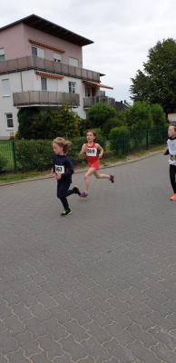 Foto des Albums: Schwedter Polderlauf