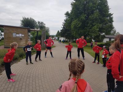Foto des Albums: Schwedter Polderlauf