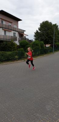 Foto des Albums: Schwedter Polderlauf