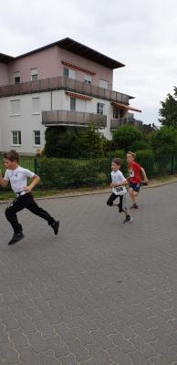 Foto des Albums: Schwedter Polderlauf