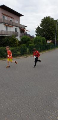 Foto des Albums: Schwedter Polderlauf