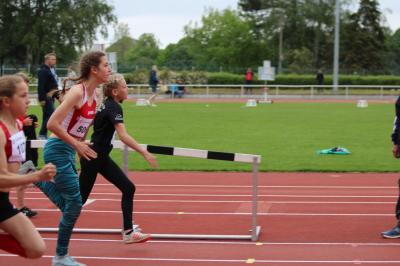 Foto des Albums: Ostseepokal Rostock