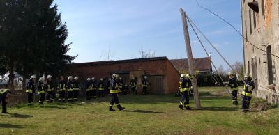Foto des Albums: Truppmannausbildung 1 und 2 vom 11.01. - 05.04.2019