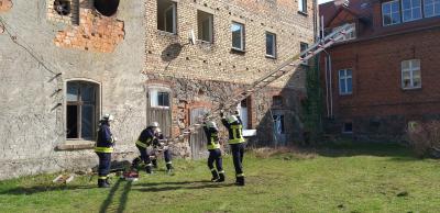 Foto des Albums: Truppmannausbildung 1 und 2 vom 11.01. - 05.04.2019