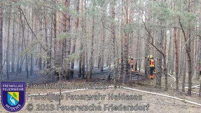 Vorschaubild: Einsatz 34/2019 | 500m² Waldbodenbrand | Friedersdorf Ri. Siedlung Nord