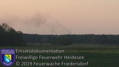 Vorschaubild: Einsatz 35/2019 | 400m² Waldbodenbrand | Kummersdorf (LOS) Ri. Philadelphia