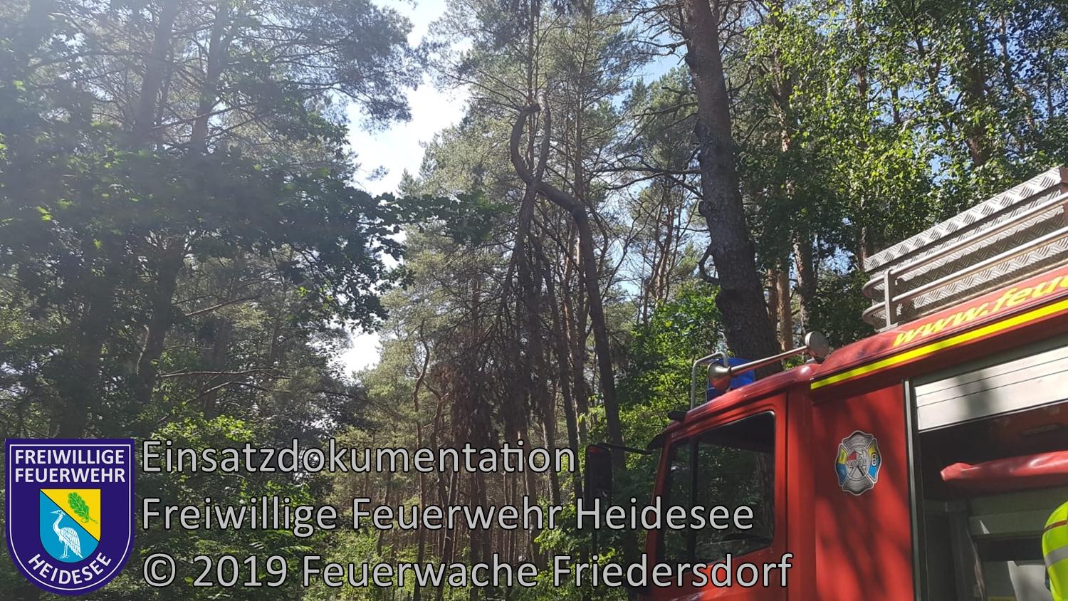 Bild: Einsatz 42/2019 | Baumkrone droht auf Weg zu stürzen | Blossin Kolberger Straße