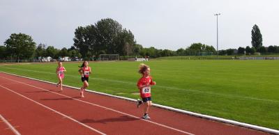 Foto des Albums: Prenzlauer Stadionlauf