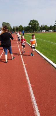 Foto des Albums: Prenzlauer Stadionlauf