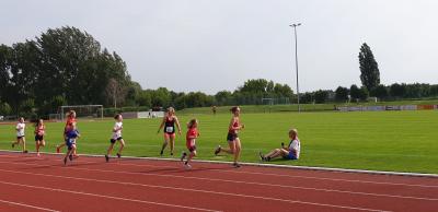 Foto des Albums: Prenzlauer Stadionlauf