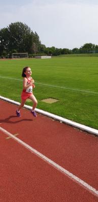Foto des Albums: Prenzlauer Stadionlauf